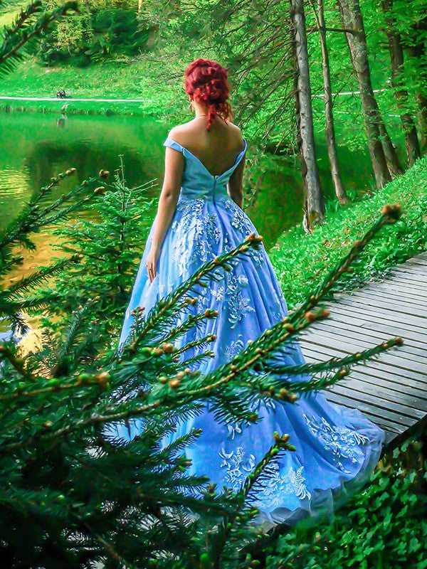 Ball Gown Sleeveless Off-the-Shoulder Applique Tulle Sweep/Brush Train Dresses