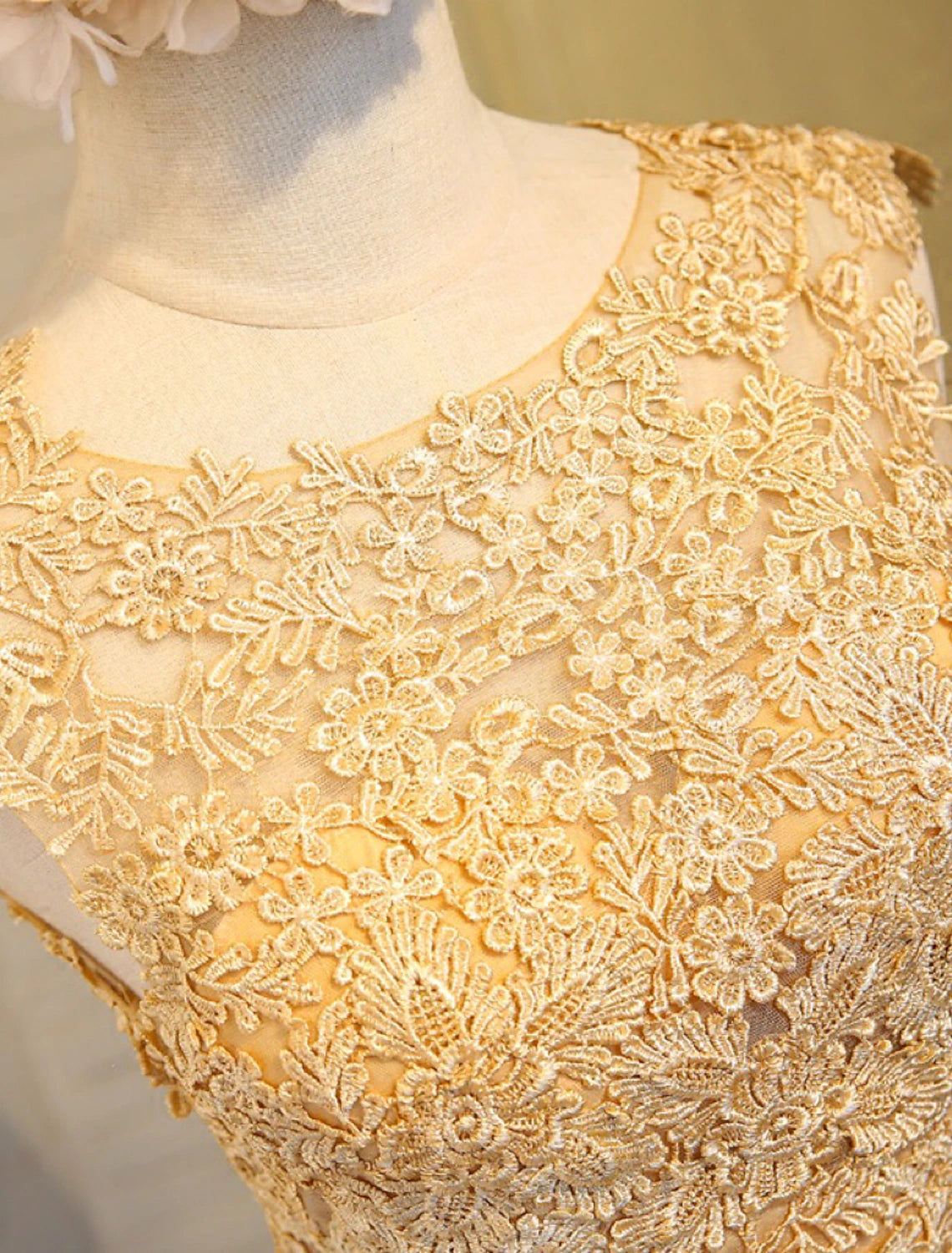 Close-up of the lace bodice and butterfly embellishment on the dress.