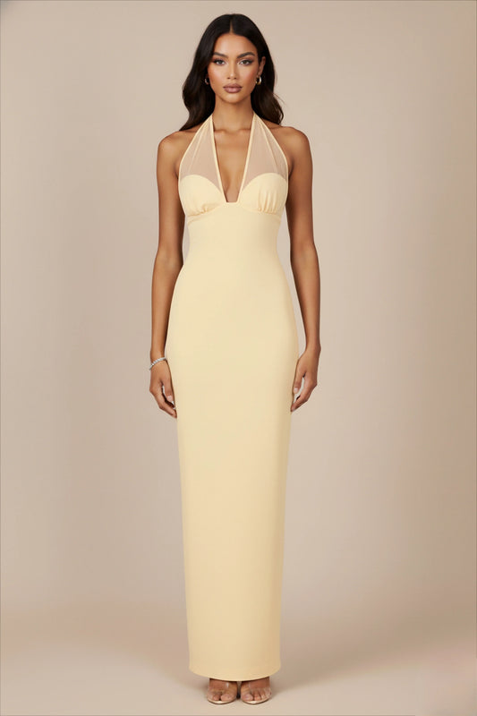 Chic Sheath V-Neck Halter Mesh Sleeveless Zipper Back Long Prom Dresses