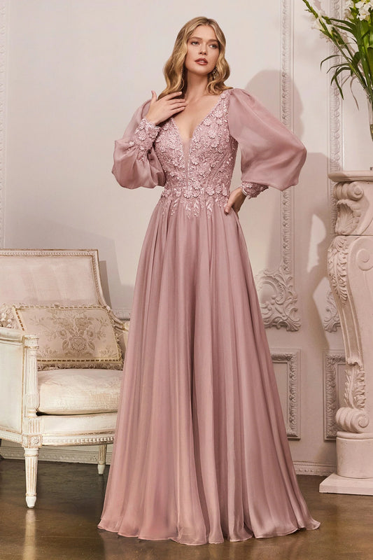 Deep V Neck Blush Pink Chiffon Evening Dresses with 3D Floral Bodice and Long Sleeves