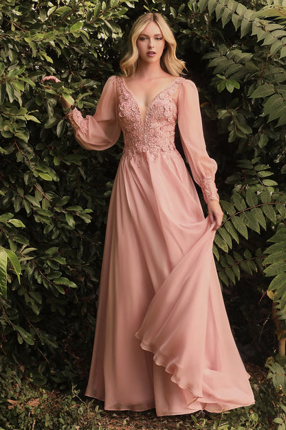 Deep V Neck Blush Pink Chiffon Evening Dresses with 3D Floral Bodice and Long Sleeves