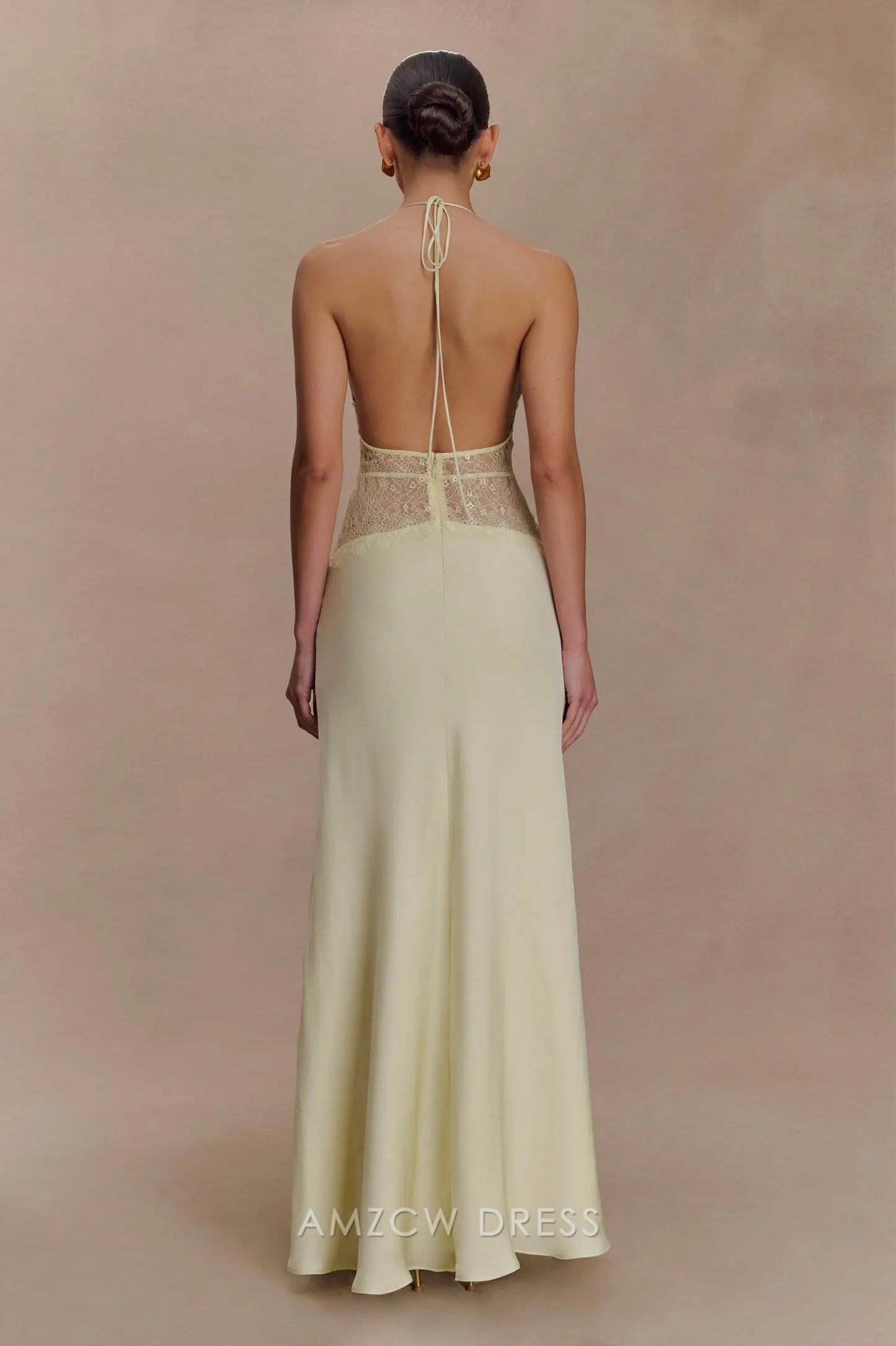 Elegant Sheath/Column Halter Neck Lace - Inset Maxi Dress Prom Dress