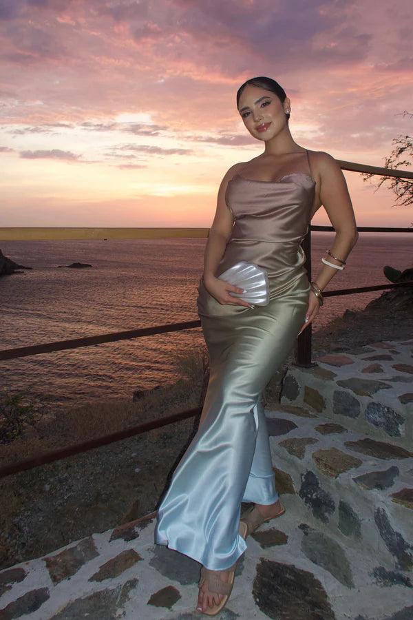 Elegant Fitted Cowl Neck Sleeveless Ombre Backless Gold Blue Maxi Prom Dress
