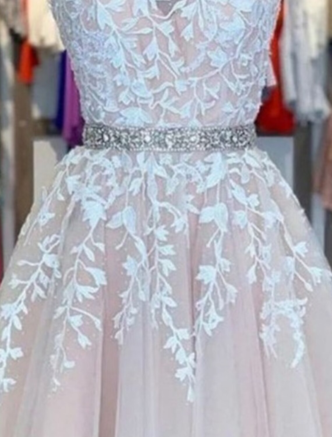 Back view of a short A-line tulle dress featuring floral appliques.