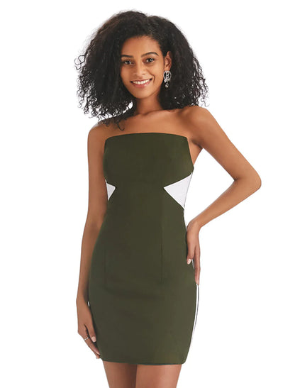 Side view of a woman wearing the color block fringe mini dress.