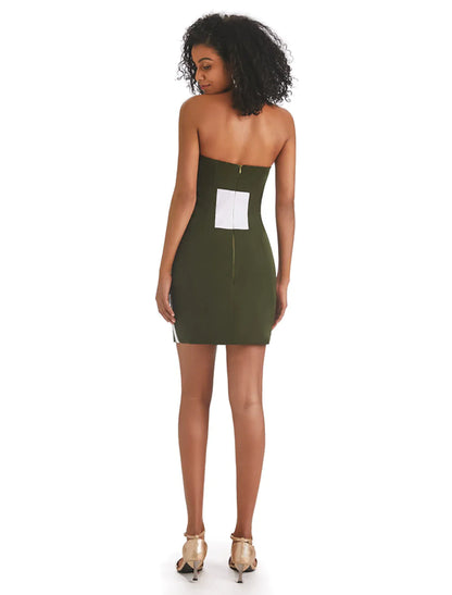 Back view of the strapless sheath dress with color block and fringe details.